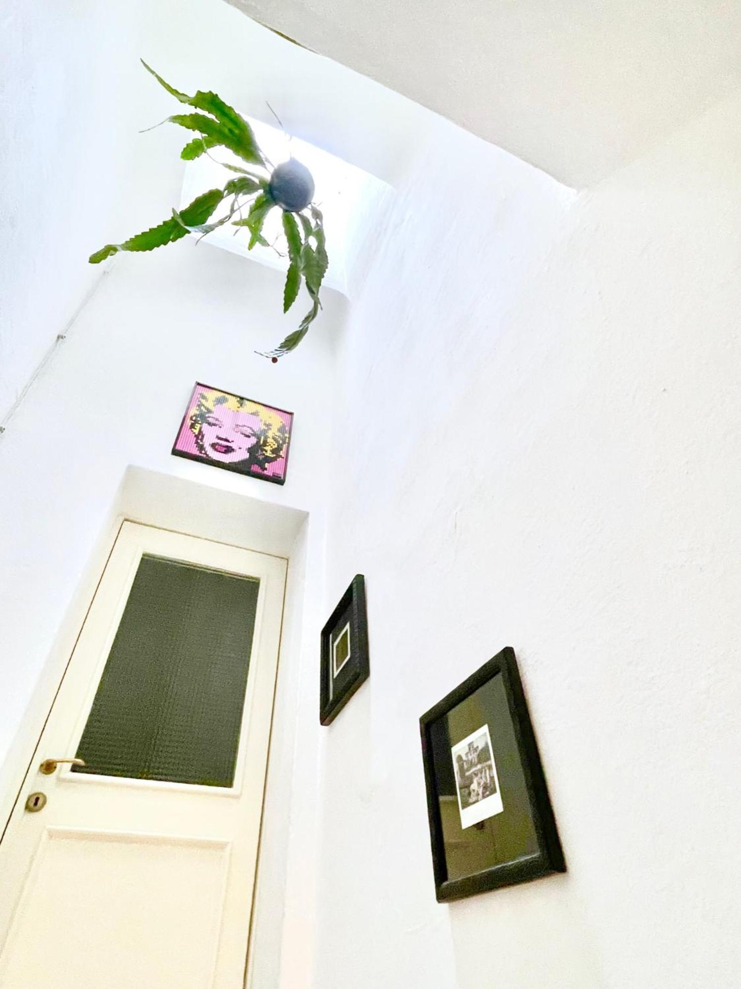 La Casa Del Pesce - Within The Historical Walls Of 卢卡 外观 照片